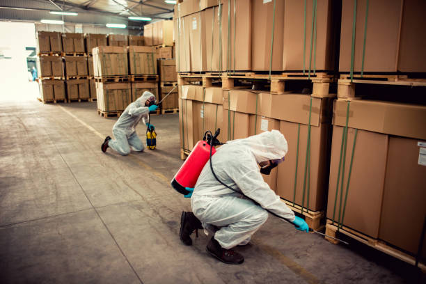 Best Affordable Exterminators  in Neenah, WI
