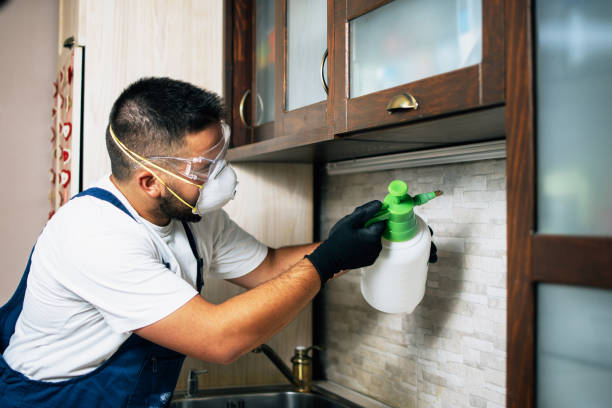 Best Residential Pest Control  in Neenah, WI