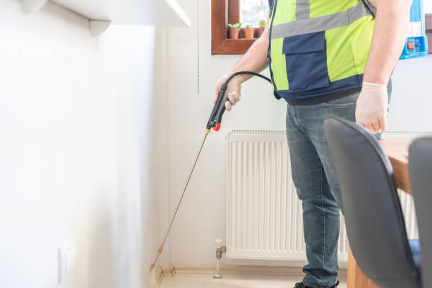 Best Ant Control Services  in Neenah, WI