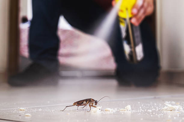 Best Best Pest Control Companies  in Neenah, WI