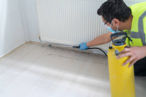 Best Pest Control Near Me  in Neenah, WI